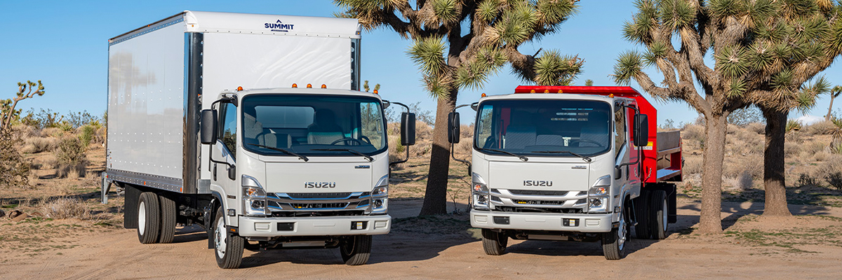 Two Isuzu's parked outside on a nice day
