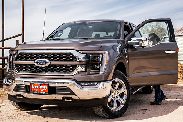 Used Ford F-150